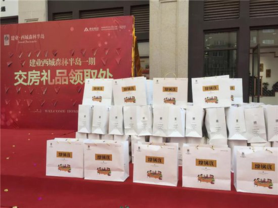 回家,是给家人最温暖的圣诞礼物!建业西城森林半岛一期高层盛大交房!